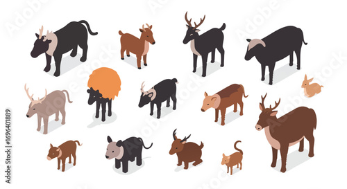 Isometric animal collection deer sheep goats fawn vector illustration wildlife cartoon graphic design characters mammal farm wild creatures