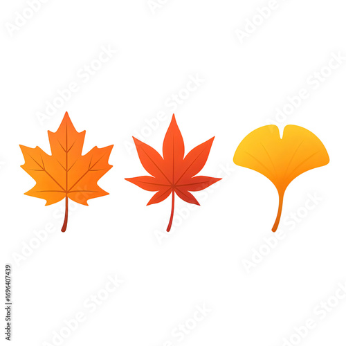 リアルな秋の葉イラスト｜Realistic Autumn Leaves