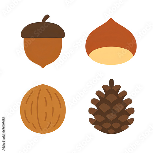 秋の木の実コレクション｜Autumn Nuts Collection