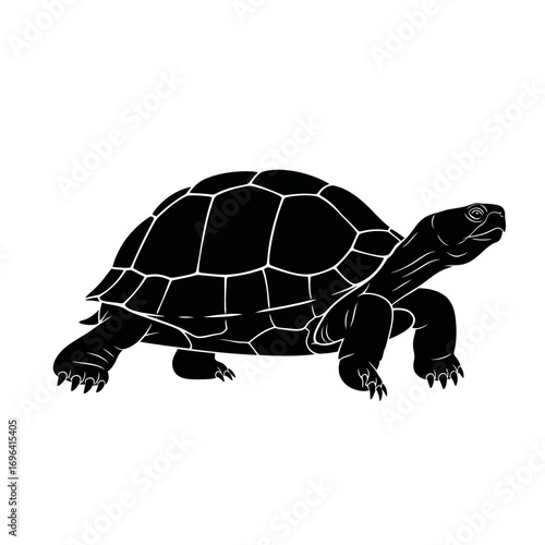 Majestic tortoise confidently striding forward creating a powerful symbol of endurance and slow progress for your impactful designs