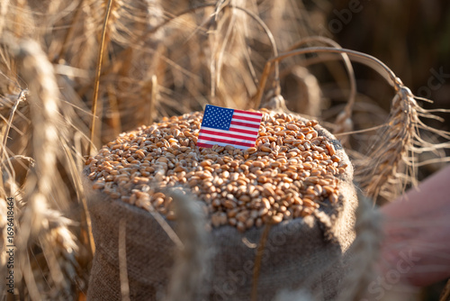 A bag of wheat grain with a flag of the USA in a field. Close-up of a bag of wheat grain with an American flag inserted, symbolizing the wheat harvest in the United States
