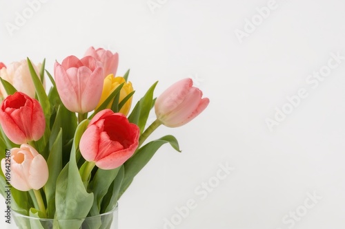 Wallpaper Mural Detailed view of vibrant tulip blooms arranged in a vase against a white backdrop Torontodigital.ca