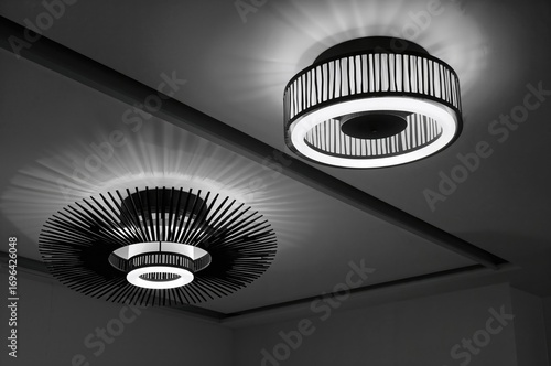 Modern monochrome ornamenta...