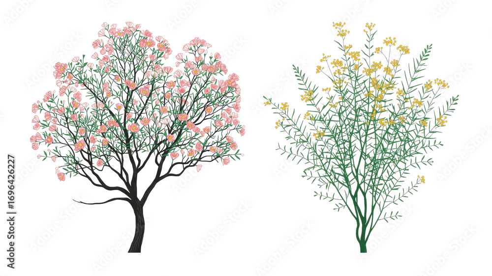 Obraz premium Blooming Pink and Yellow Flowering Trees and Shrubs, Digital Illustration