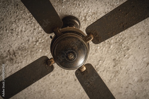 Detailed close-up of a dust...