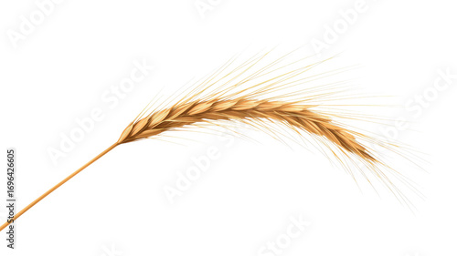 Single Golden Wheat Ear Isolated on Transparent Background