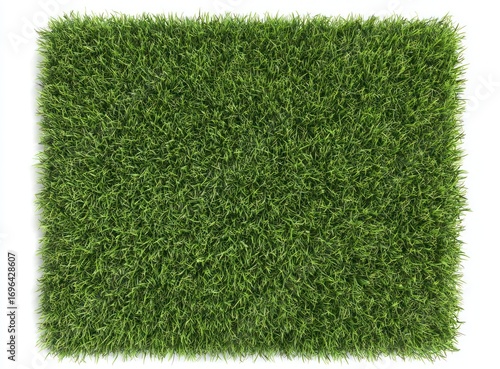 Textured, top-down view of a rectangular patch of vibrant green grass against a stark white background