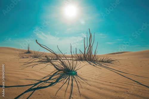 Arid terrain featuring with...