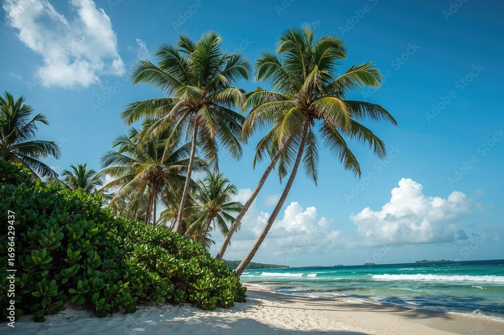 Obraz premium Palm Trees Overlooking the Shoreline