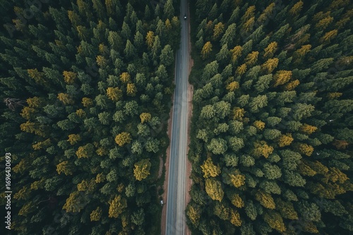 Aerial Perspective of a Roa...