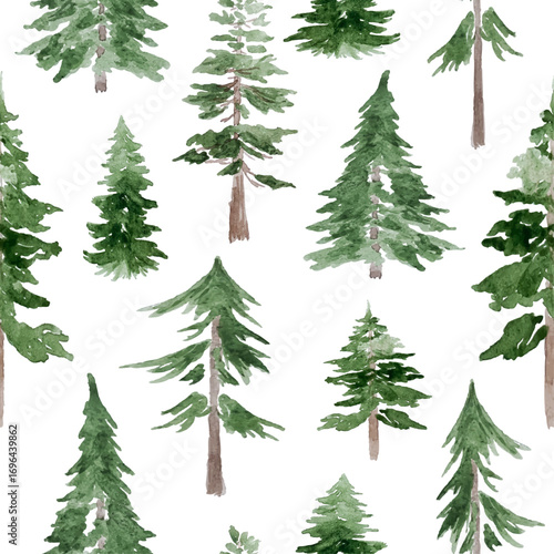 Seamless Pattern With Coniferous Forest, Fir Trees, Pines, Hand-drawn in watercolor. Vector