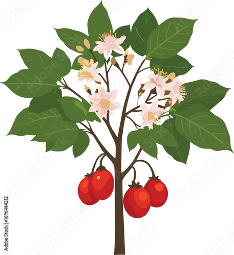 Fruit-bearing tree with red berries and pink flowers, green leaves, isolated on white background, botanical illustration, nature plant, edible garden fruit tree.