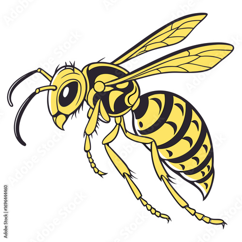 Illustration of a yellow and black wasp