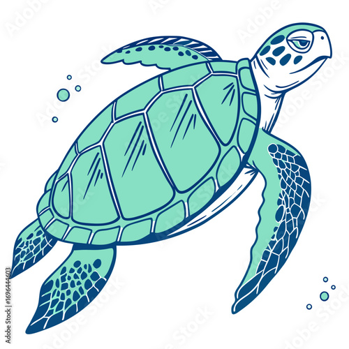 Green sea turtle swimming