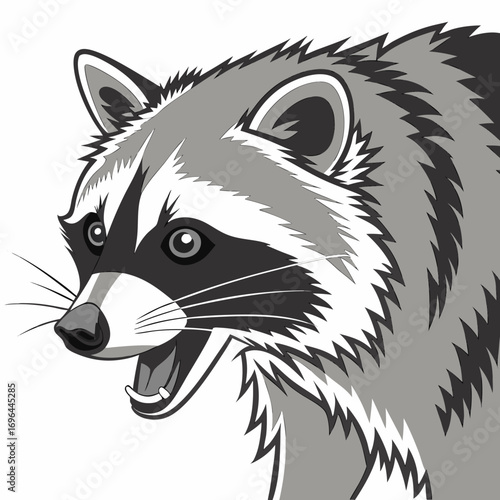 Closeup illustration of a raccoons head