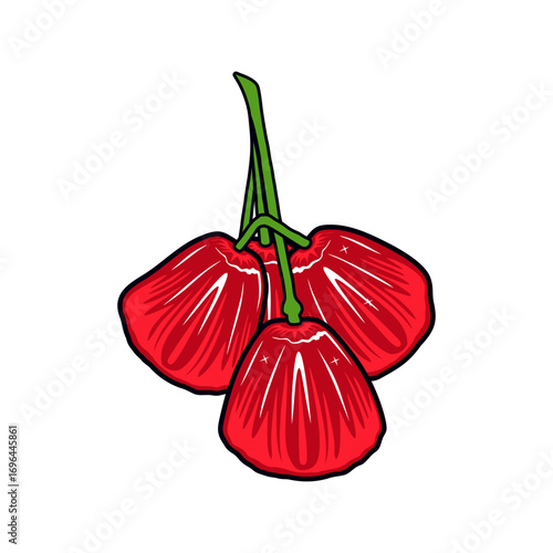red rose apple vector illustration