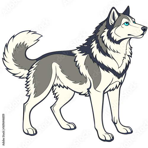 Illustration of a siberian husky dog standing