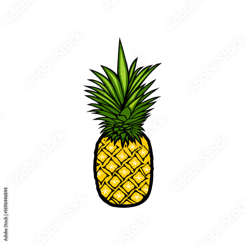 fresh yellow pineapple vector illustration
