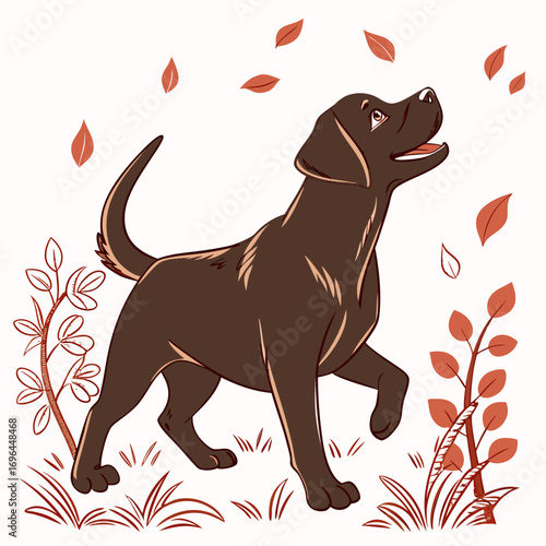 Chocolate labrador dog walking outdoors with autumn leaves