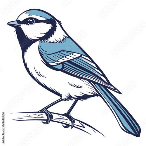 Blue tit bird perched on a branch
