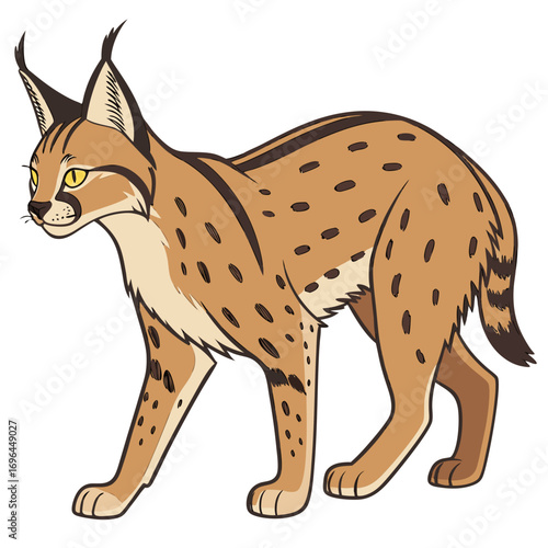Caracal cat with spotted fur walking