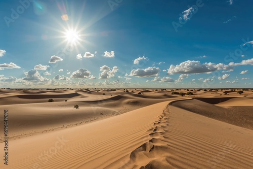 Golden Sand Dunes Beneath a...