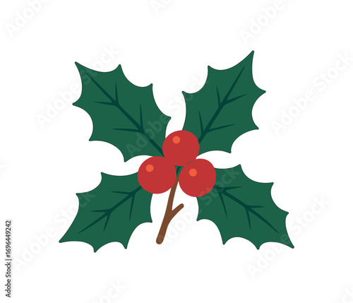 flat vector colored illustration holly branch christmas isolated on white background