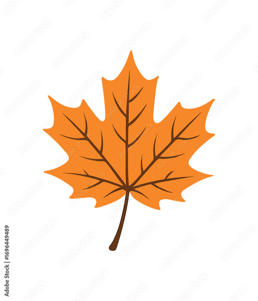 Obraz premium flat vector colored illustration maple leaf isolated on white background