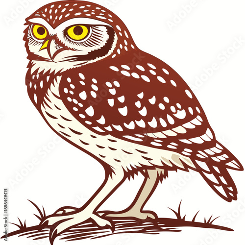 A detailed illustration of a burrowing owl standing on grass