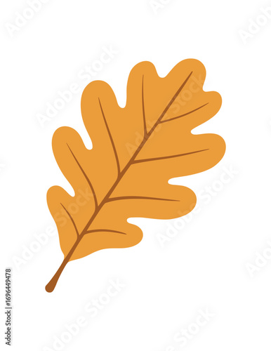 flat vector colored illustration oak leaf isolated on white background