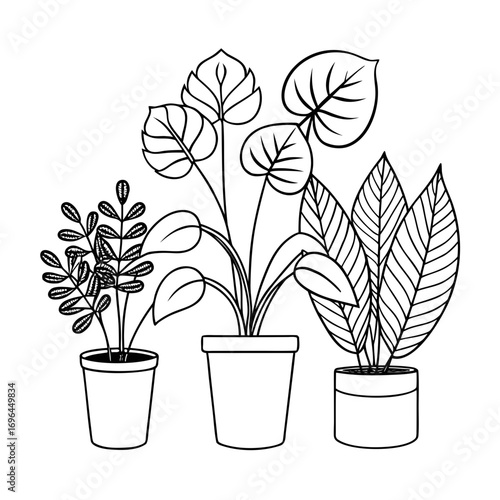 Minimalist Scandinavian Line Art House Plants Vector