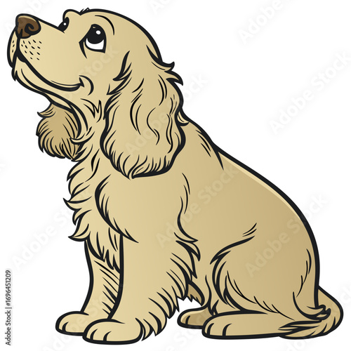Cute golden cocker spaniel dog sitting and looking up