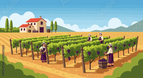 Illustration of people harvesting grapes in a vineyard, with a farmhouse in the background.