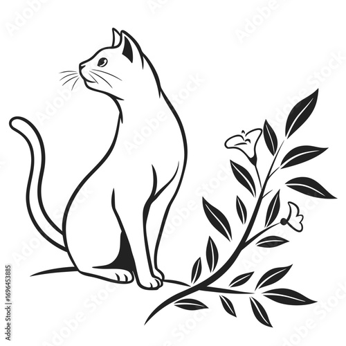 cat and mouse