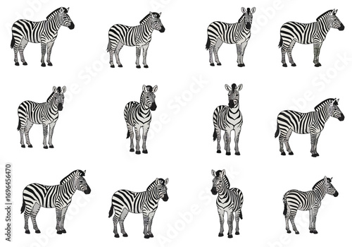 Array of twelve black and white striped zebras in various poses arranged in rows on a plain white background