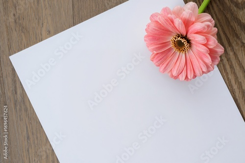 Empty notebook and a lovely...
