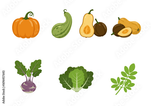 Six different illustrations of vegetables including squash pumpkin kohlrabi cabbage and leaves