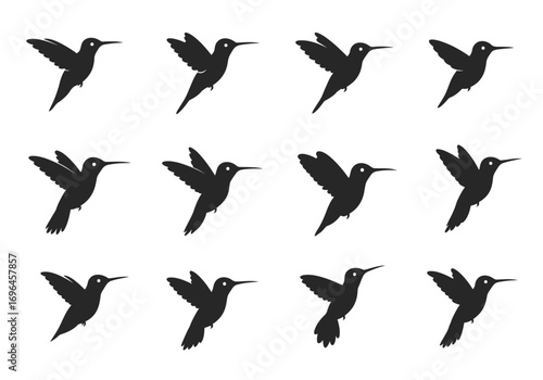 Twelve black hummingbird silhouettes arranged in rows showing varied wing positions