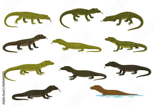Eleven Komodo dragons in various poses and colors One is partially submerged in water
