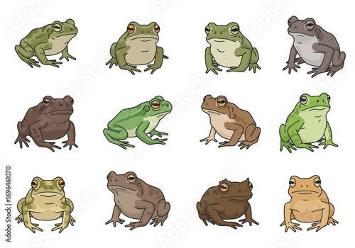 Twelve cartoon frogs of varied colors pose against a white backdrop