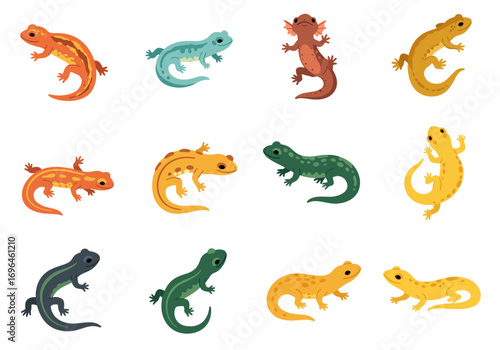Twelve colorful cartoon salamanders are arranged in a grid pattern