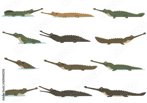 Twelve crocodiles are drawn in various positions and colors on a white background