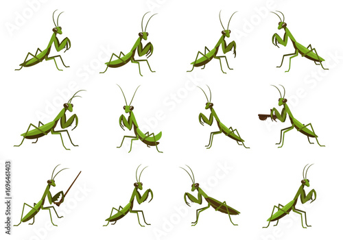 Twelve green cartoon praying mantises are arranged in a grid on a white background