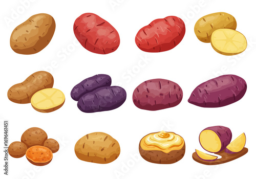 Twelve potatoes various types and colors some whole some sliced one baked with topping