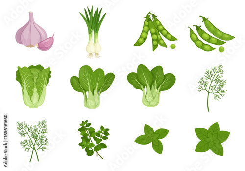 Vegetables  herbs are on display garlic bok choy peas dill basil green onions  thyme