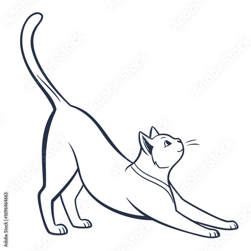 cat and mouse