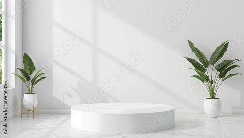 Blank White Studio Pedestal...