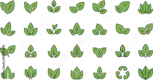 Collection of green leaves isolated on white background for nature concept