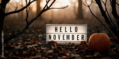 hello november