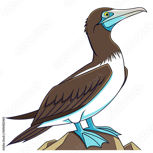 Cartoon brown footed booby bird